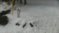 Běžecký lyžařský areál Nová Ves - horní část