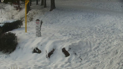 Běžecký lyžařský areál Nová Ves - horní část