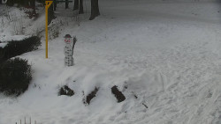 Běžecký lyžařský areál Nová Ves - horní část