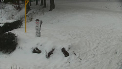 Běžecký lyžařský areál Nová Ves - horní část