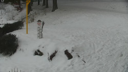 Běžecký lyžařský areál Nová Ves - horní část