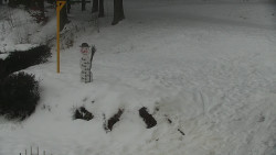 Běžecký lyžařský areál Nová Ves - horní část