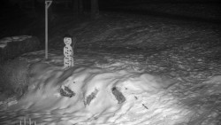 Běžecký lyžařský areál Nová Ves - horní část