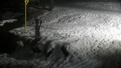 Běžecký lyžařský areál Nová Ves - horní část