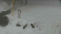 Běžecký lyžařský areál Nová Ves - horní část