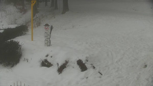 Chata Myslivna SKP Olomouc - Běžecký lyžařský areál Nová Ves - horní část - 17.1.2026 v 09:00