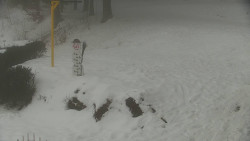 Běžecký lyžařský areál Nová Ves - horní část