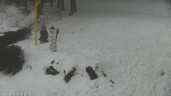 Běžecký lyžařský areál Nová Ves - horní část