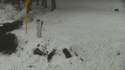 Běžecký lyžařský areál Nová Ves - horní část