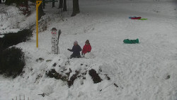 Běžecký lyžařský areál Nová Ves - horní část