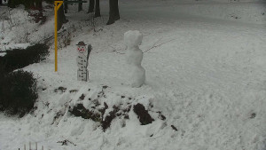 Chata Myslivna SKP Olomouc - Běžecký lyžařský areál Nová Ves - horní část - 17.1.2026 v 13:00