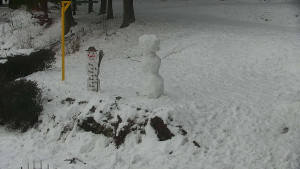 Chata Myslivna SKP Olomouc - Běžecký lyžařský areál Nová Ves - horní část - 17.1.2026 v 13:30