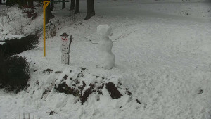 Chata Myslivna SKP Olomouc - Běžecký lyžařský areál Nová Ves - horní část - 17.1.2026 v 14:00