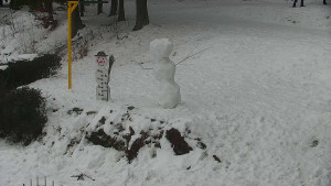 Chata Myslivna SKP Olomouc - Běžecký lyžařský areál Nová Ves - horní část - 17.1.2026 v 14:30