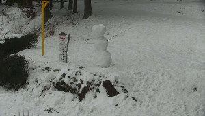 Chata Myslivna SKP Olomouc - Běžecký lyžařský areál Nová Ves - horní část - 17.1.2026 v 15:00