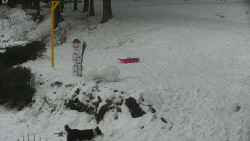 Běžecký lyžařský areál Nová Ves - horní část