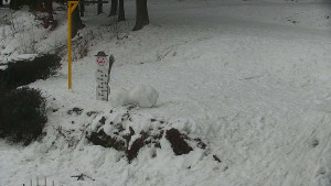 Chata Myslivna SKP Olomouc - Běžecký lyžařský areál Nová Ves - horní část - 17.1.2026 v 16:00