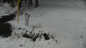 Chata Myslivna SKP Olomouc - Běžecký lyžařský areál Nová Ves - horní část - 17.1.2026 v 16:30