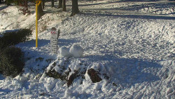 Běžecký lyžařský areál Nová Ves - horní část