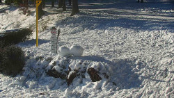 Běžecký lyžařský areál Nová Ves - horní část