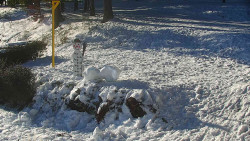 Běžecký lyžařský areál Nová Ves - horní část