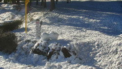 Běžecký lyžařský areál Nová Ves - horní část