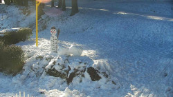 Běžecký lyžařský areál Nová Ves - horní část