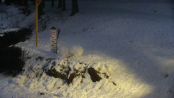 Běžecký lyžařský areál Nová Ves - horní část