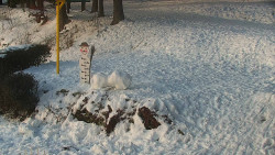 Běžecký lyžařský areál Nová Ves - horní část
