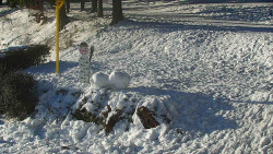Běžecký lyžařský areál Nová Ves - horní část