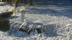 Běžecký lyžařský areál Nová Ves - horní část