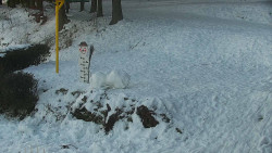 Běžecký lyžařský areál Nová Ves - horní část