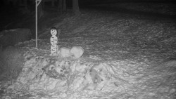 Běžecký lyžařský areál Nová Ves - horní část