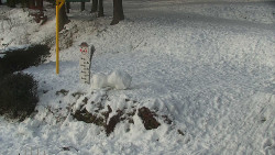 Běžecký lyžařský areál Nová Ves - horní část