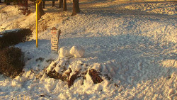 Běžecký lyžařský areál Nová Ves - horní část