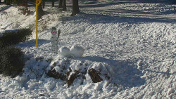 Běžecký lyžařský areál Nová Ves - horní část