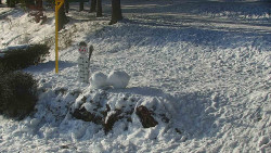 Běžecký lyžařský areál Nová Ves - horní část