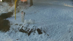 Běžecký lyžařský areál Nová Ves - horní část