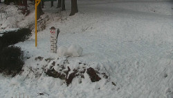 Běžecký lyžařský areál Nová Ves - horní část