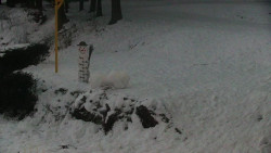 Běžecký lyžařský areál Nová Ves - horní část