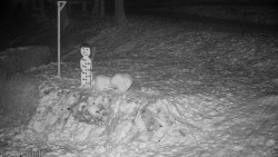 Běžecký lyžařský areál Nová Ves - horní část