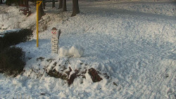 Běžecký lyžařský areál Nová Ves - horní část