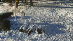 Běžecký lyžařský areál Nová Ves - horní část