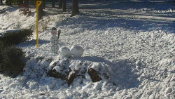 Běžecký lyžařský areál Nová Ves - horní část