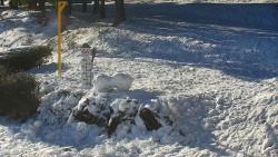 Běžecký lyžařský areál Nová Ves - horní část