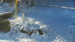 Běžecký lyžařský areál Nová Ves - horní část