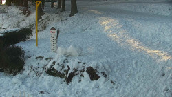 Běžecký lyžařský areál Nová Ves - horní část