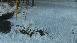 Běžecký lyžařský areál Nová Ves - horní část
