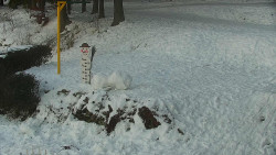 Běžecký lyžařský areál Nová Ves - horní část