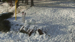 Běžecký lyžařský areál Nová Ves - horní část